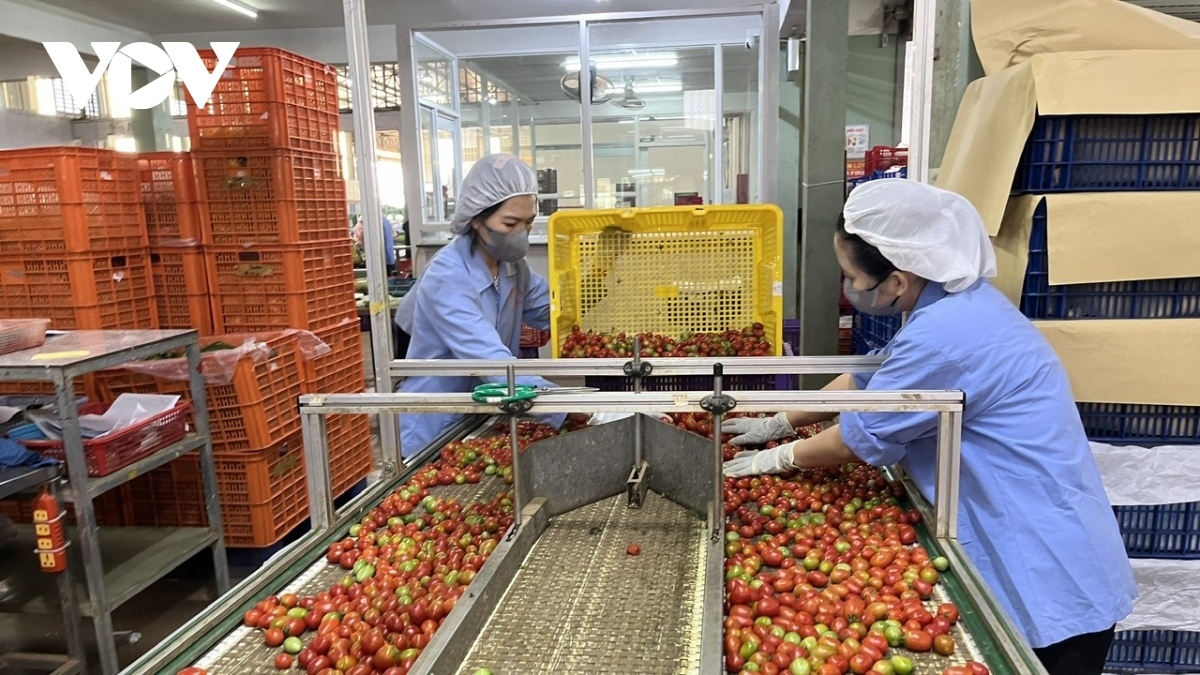 Jan-April newly-established enterprises hit record high of 51,550